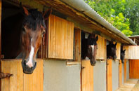 free Blackthorn stable construction quotes